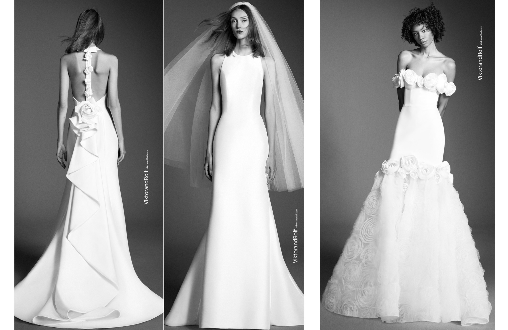 THE TOP WEDDING DRESSES OF FALL 2024 - Wedding Style Magazine